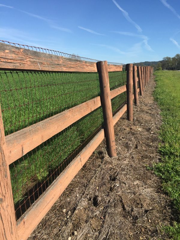 Cattle Fence Replacement