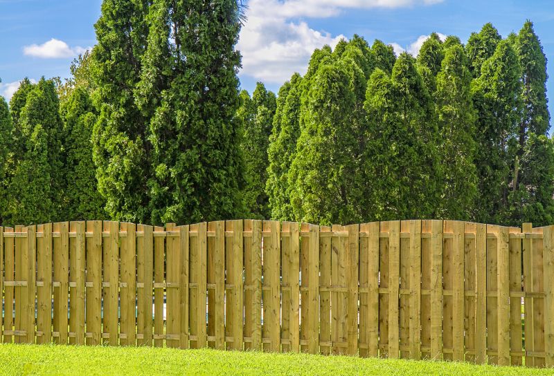 New Wooden Fence